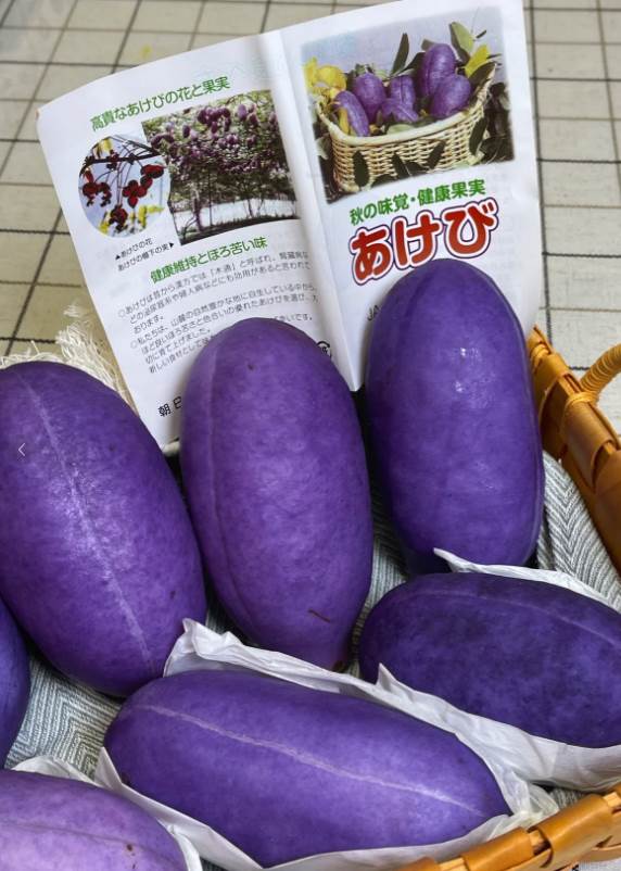 这是什么水果！神秘鲜艳紫色果实颜色亮丽，切开后宛如果冻，还有神奇疗效