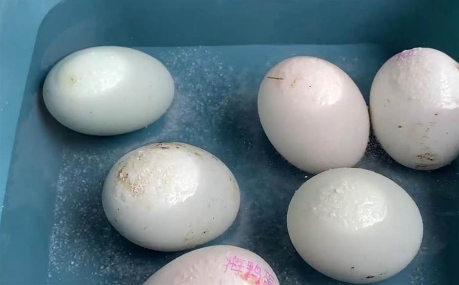 腌咸鴨蛋